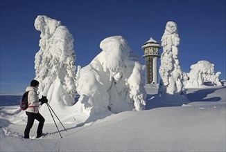 Snowshoe runner looking at winter landscape with snow-covered fir trees and Feldberg tower