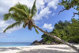 Sandy beach beach Anse Georgette