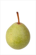 Pear variety Wahlsche Schnapsbirne