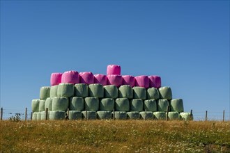 Multicolored bales of silage