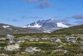 Fjell with mountain Snohetta