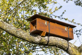 Nesting box for a green woodpecker