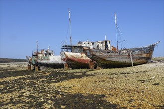 Shipwrecks ship graveyard in the port of Camaret-sur-Mer on the Crozon peninsula