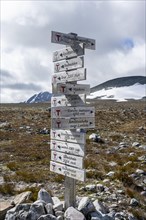 Many signposts for hikes in Dovrefjell National Park