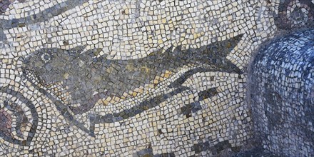 Mosaics with Fish figures