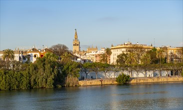 View over the river Rio Guadalquivir to the bullring Plaza de toros de la Real Maestranza de Caballeria de Sevilla and bell tower La Giralda