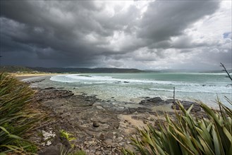 View of sandy beach and sea at Curio Bay