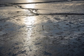 Aerial view of a mudflat walker in the Wadden Sea at low tide