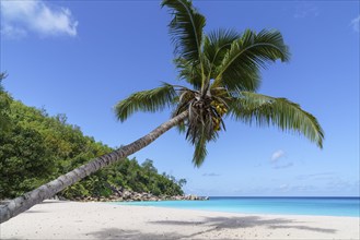 Sandy beach beach Anse Georgette