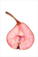 Pear variety Westfaelische Blutbirne