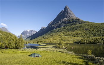 Tent on camping site by the lake Litlvatnet in the high valley Innerdalen