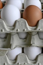 White and brown eggs in egg carton