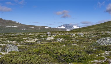 Fjell with mountain Snohetta