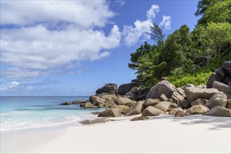 Sandy beach beach Anse Georgette