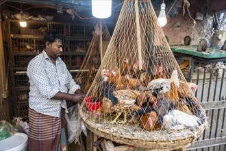 Vendor selling chicken