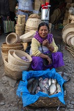 Woman vendor selling fish
