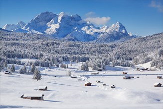 Winterly hummock meadows with Zugspitze group in the Wetterstein mountains