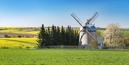 Field landscape with tower windmill in spring