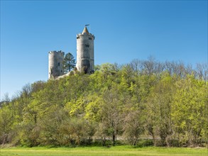 Castle ruin Saaleck in spring