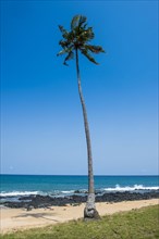 Beach Praia dos Governadores