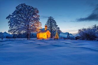 Maria Rast chapel on the hunchback meadows with Christmas tree and Wetterstein mountains at dusk