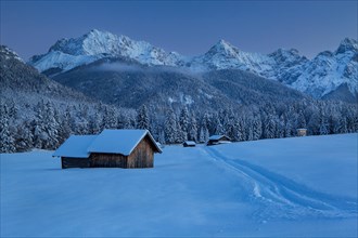 Winterly hummock meadows with hay barn and Karwendel mountains at dusk