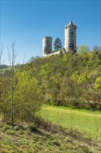 Castle ruin Saaleck in spring