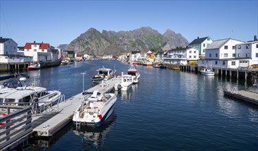 Harbour and houses