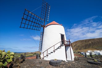 Windmill in the Jardin de Cactus