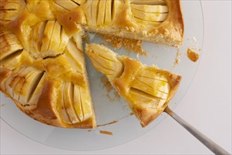 Homemade apple pie with pie scoop