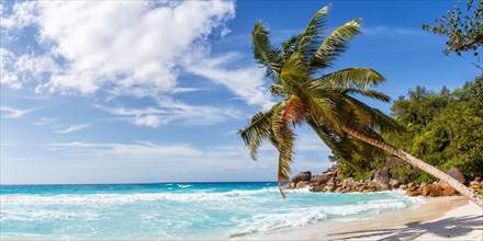 Anse Georgette travel travel landscape beach holiday island Praslin palm panorama sea