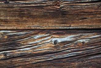 Weathered wood with knotholes