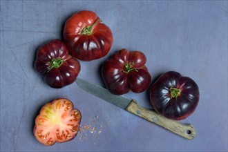 Tomato Mar Azul