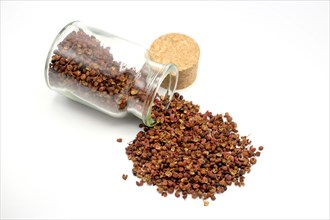 Sichuan peppercorns spilling out of a 150ml glass spice jar against a white background