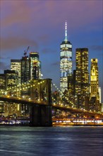 Skyline night city Manhattan Brooklyn Bridge World Trade Center WTC portrait format in the