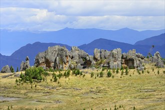 Rock formations in the Stone Forest