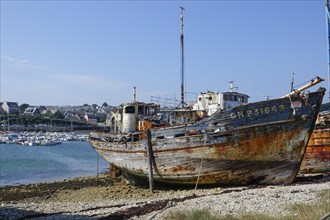 Shipwrecks ship graveyard in the port of Camaret-sur-Mer on the Crozon peninsula