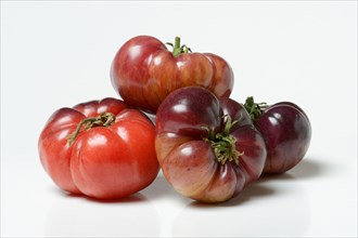 Tomato Mar Azul