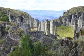 Rock formations in the Stone Forest