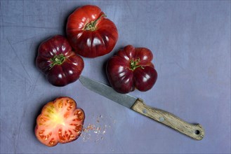 Tomato Mar Azul