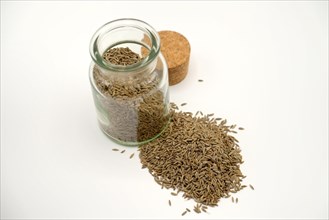 Cumin seeds beside and in a 150ml glass spice jar against a white background