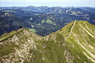 Ridge hiking trail Fellhorngrat between Fellhorn summit and Soellerkopf