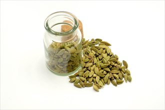Cardamom pods beside and in a 150ml glass spice jar against a white background