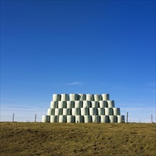 Plastic wrapped bales of straw