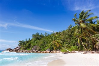 Anse Georgette beach holiday Praslin island palm sea