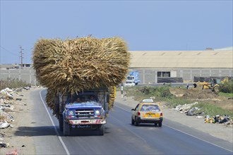 Overloaded truck with sugar cane on littered road