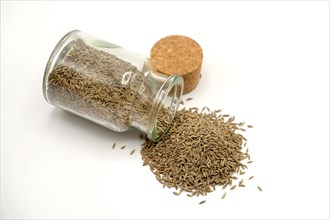 Cumin seeds spilling out of a 150ml glass spice jar against a white background