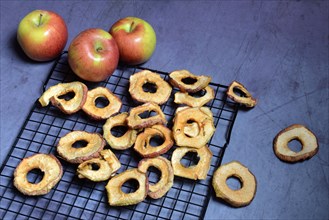 Dried apple rings on grate and apples