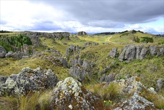 Rock formations in the Stone Forest