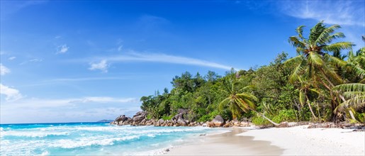 Anse Georgette beach holiday island Praslin palm panorama sea